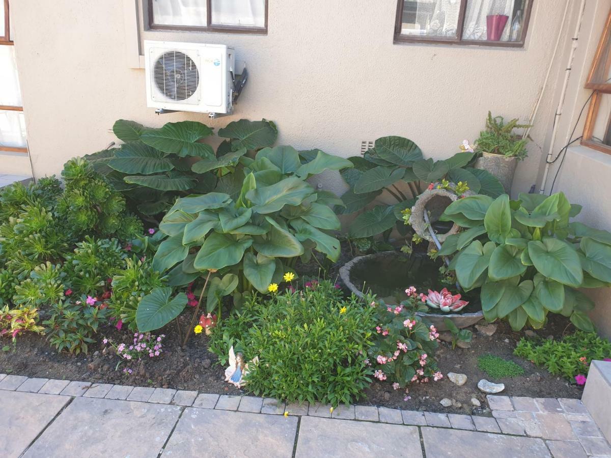 Dilisca Guesthouse Durbanville Dış mekan fotoğraf