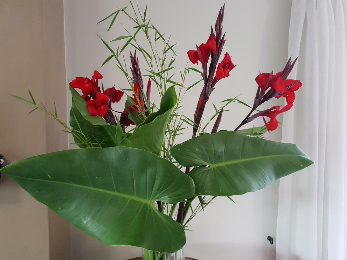 Dilisca Guesthouse Durbanville Dış mekan fotoğraf